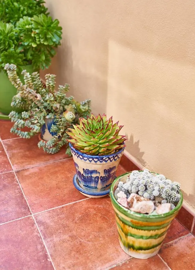 El Agave Guest House El Pozo de los Frailes